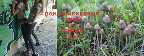 ECSTASY Армянск