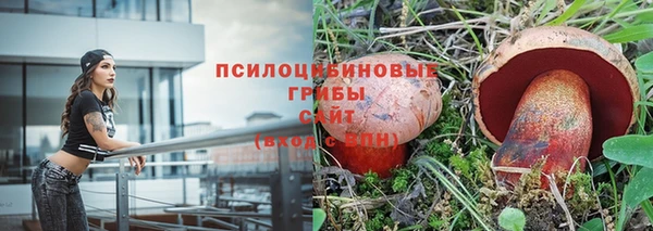 мяу мяу мука Арсеньев